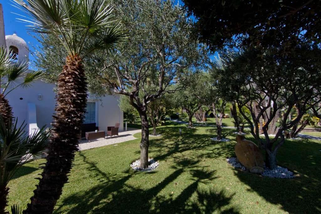 San Michele Hotel & Spa Sant'Angelo (Isola d'Ischia) Exterior foto